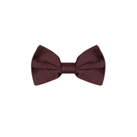 Dolce & Gabbana Burgundy Silk Bowty