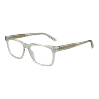 Guess Transparent Acetate Glasses (Frames)